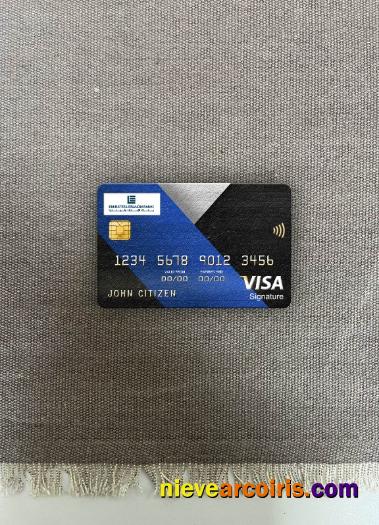 Lebanon Emirates Lebanon Bank visa signature card photolook